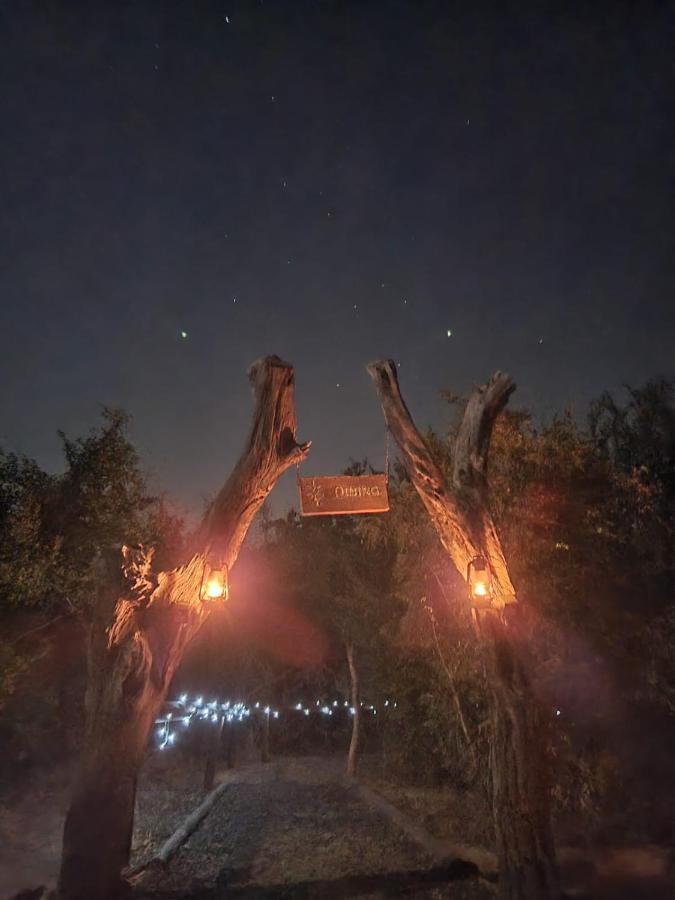 The Wild Olive Tree Camp Hotel Welverdiend  Bagian luar foto