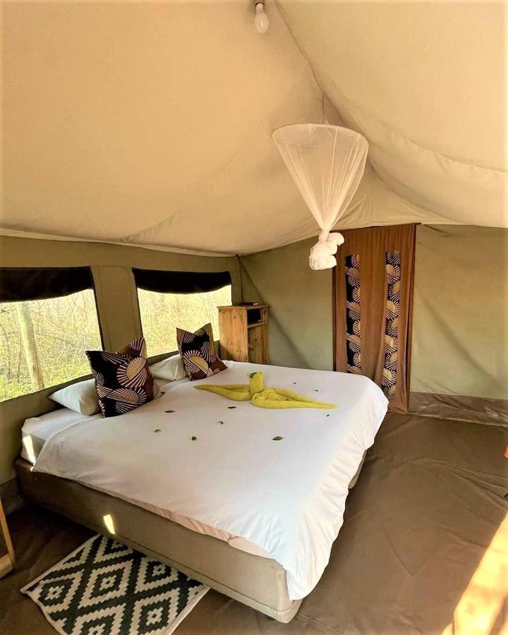The Wild Olive Tree Camp Hotel Welverdiend  Bagian luar foto
